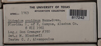 Image Associated With the Occurence